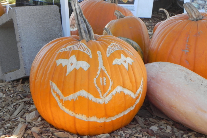 Pumpkin Carving Idea Batty